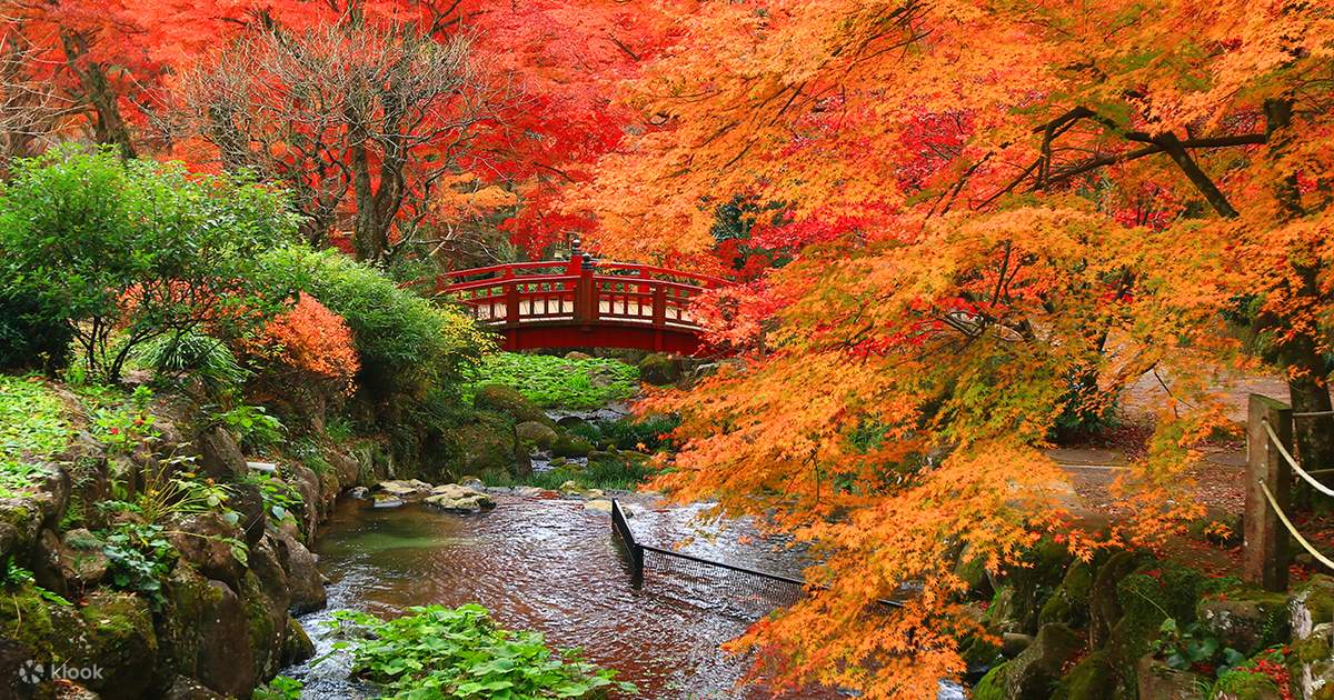Reisezeit Japan Brings Fall Foliage, Malediven Brings Sunshine